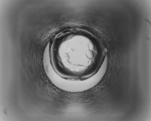 X0000101961157200808011101