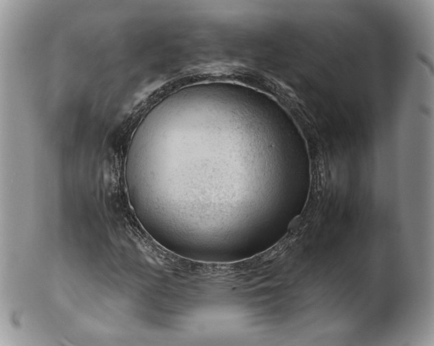 X0000101961158200808011101