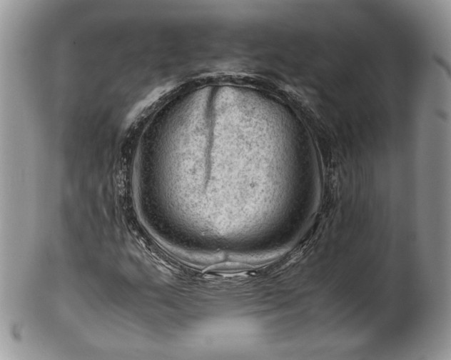 X0000101961159200808011101