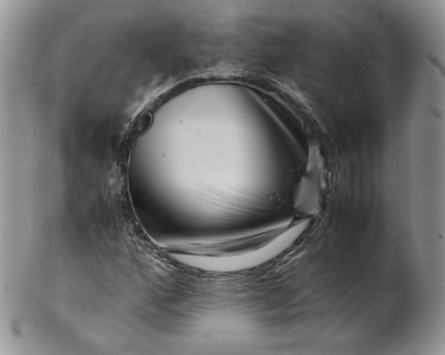 X0000101961160200808011101