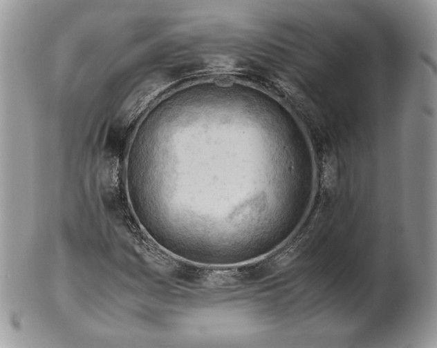 X0000101961161200808011101