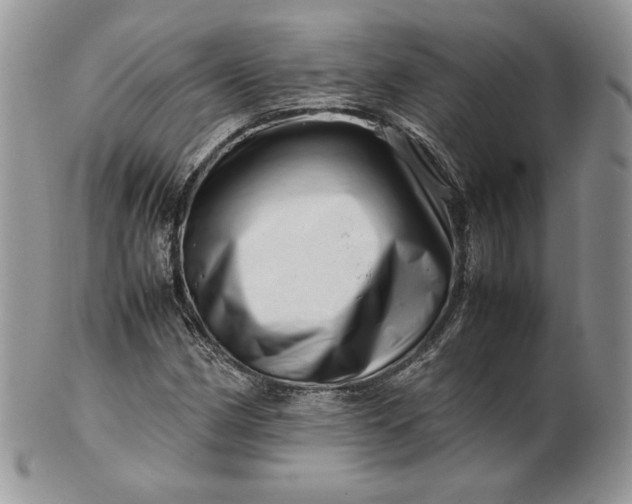 X0000101961162200808011101