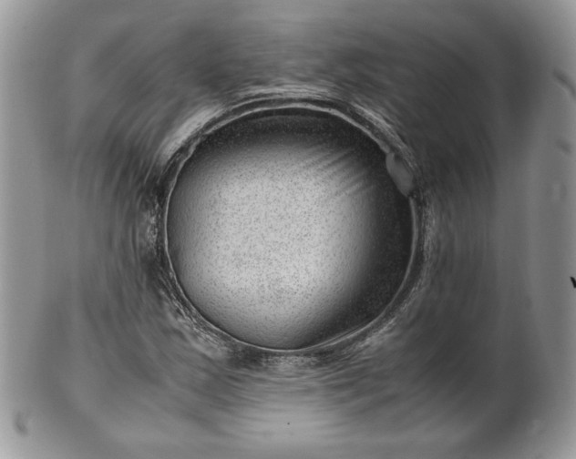 X0000101961163200808011101