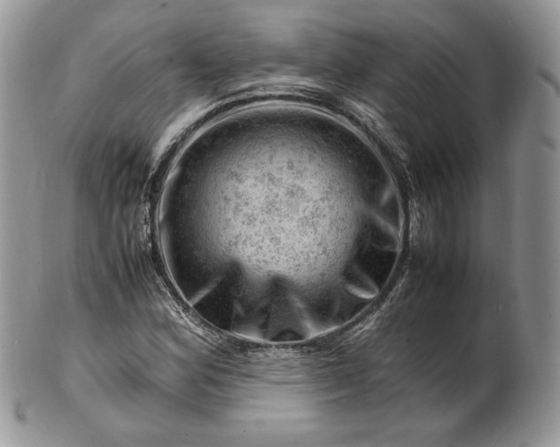 X0000101961164200808011101