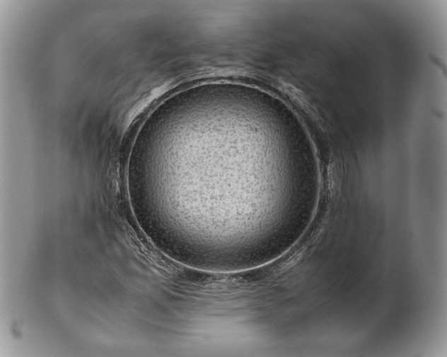 X0000101961165200808011101