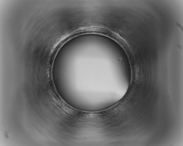 X0000101961166200808011101