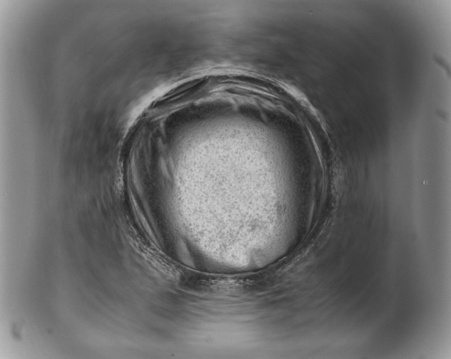 X0000101961167200808011101