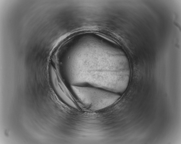 X0000101961168200808011101