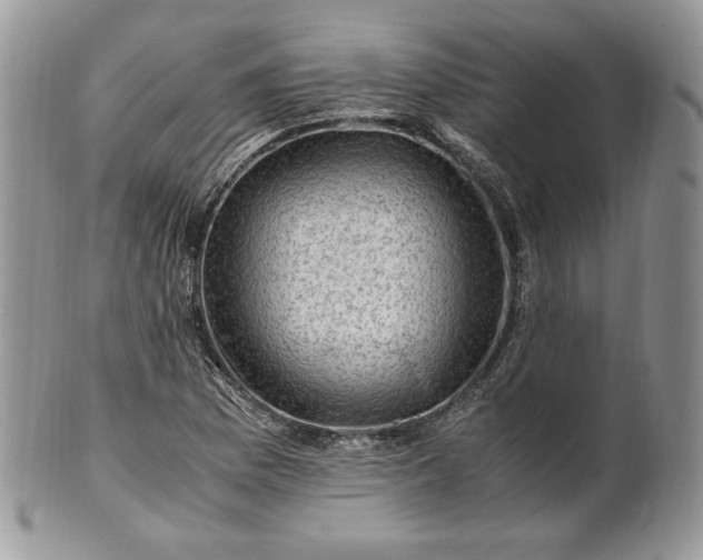 X0000101961169200808011101