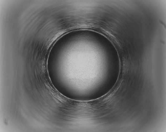 X0000101961170200808011101