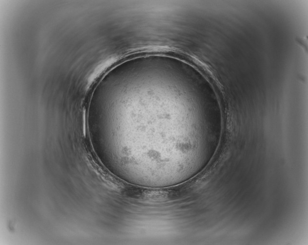 X0000101961171200808011101