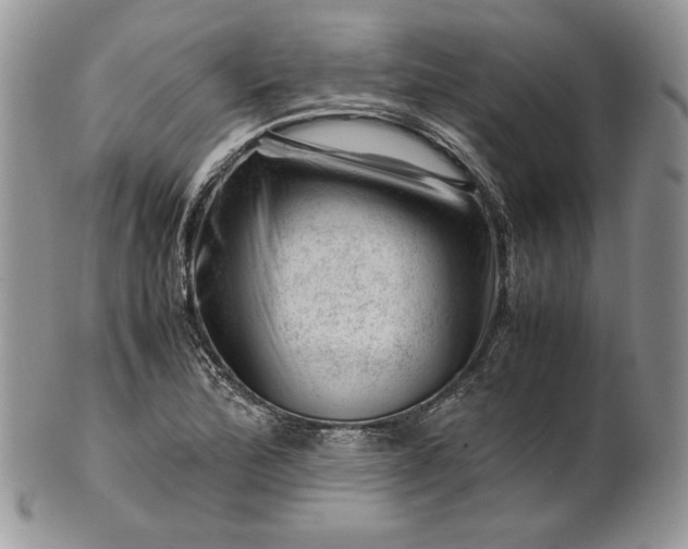 X0000101961172200808011101