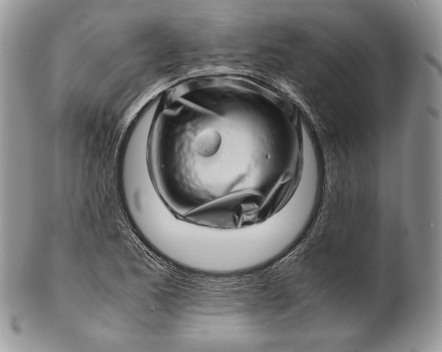 X0000101961173200808011101