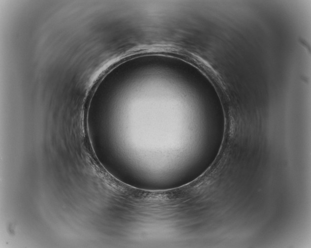 X0000101961174200808011101