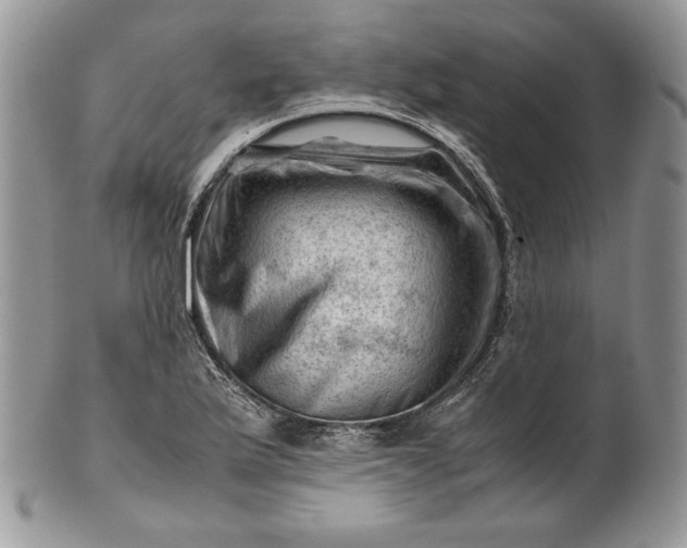 X0000101961175200808011101