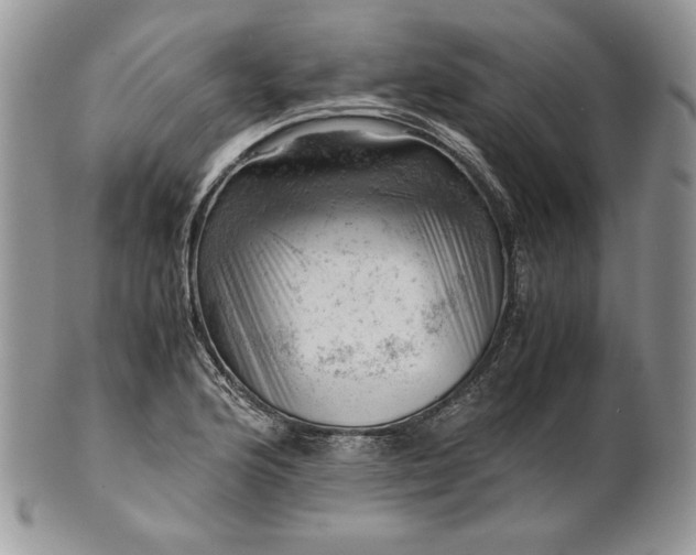 X0000101961176200808011101