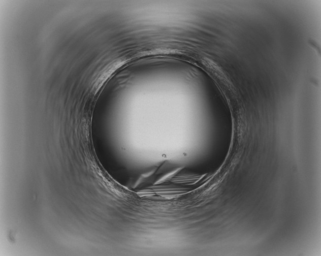 X0000101961177200808011101