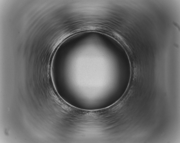 X0000101961178200808011101