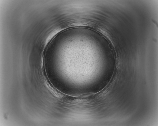 X0000101961179200808011101