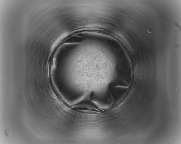 X0000101961180200808011101