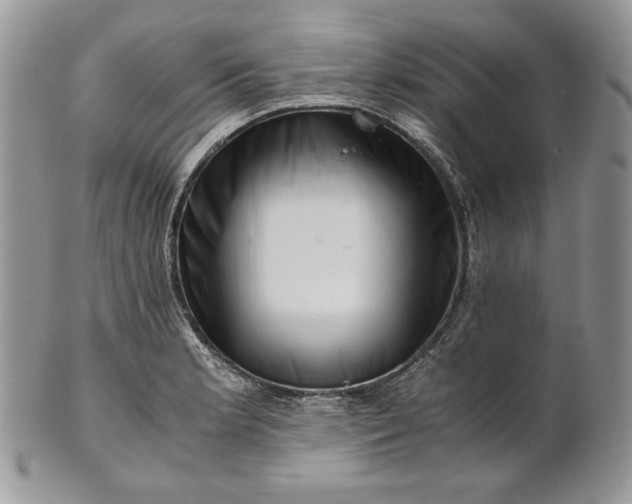 X0000101961181200808011101