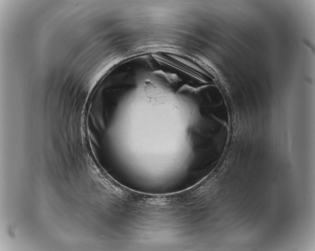 X0000101961182200808011101