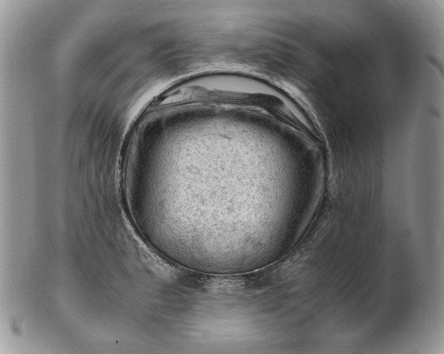 X0000101961183200808011101