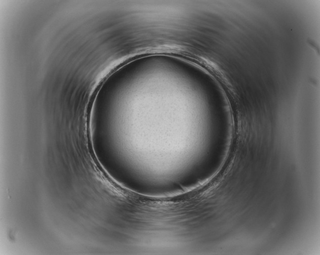 X0000101961184200808011101