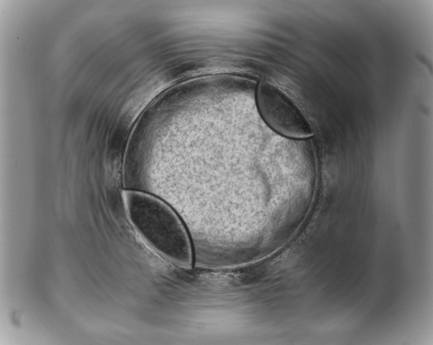 X0000101961185200808011101