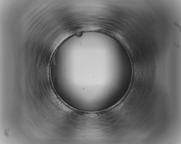 X0000101961186200808011101