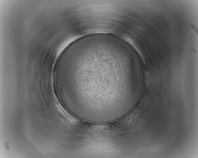 X0000101961187200808011101