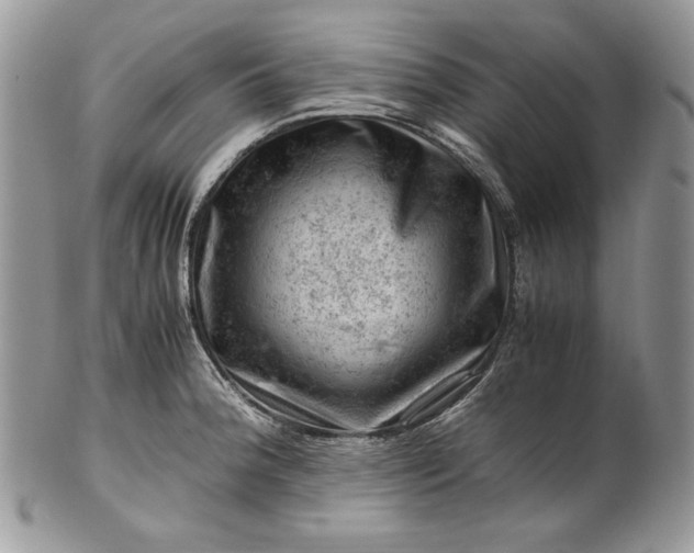 X0000101961188200808011101