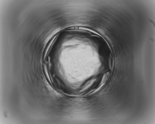 X0000101961189200808011101