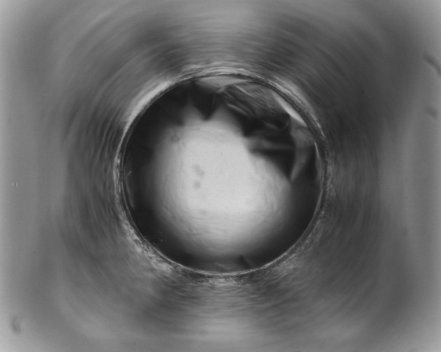 X0000101961190200808011101