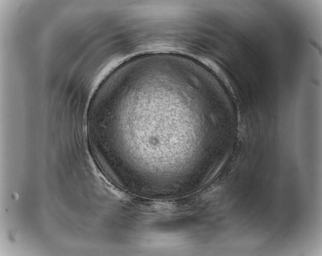 X0000101961191200808011101