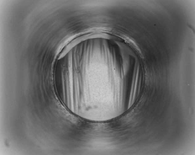 X0000101961192200808011101