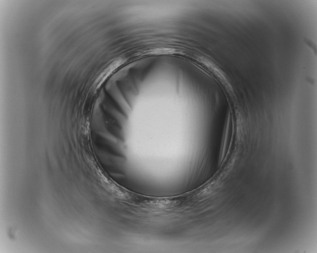 X0000101961193200808011101