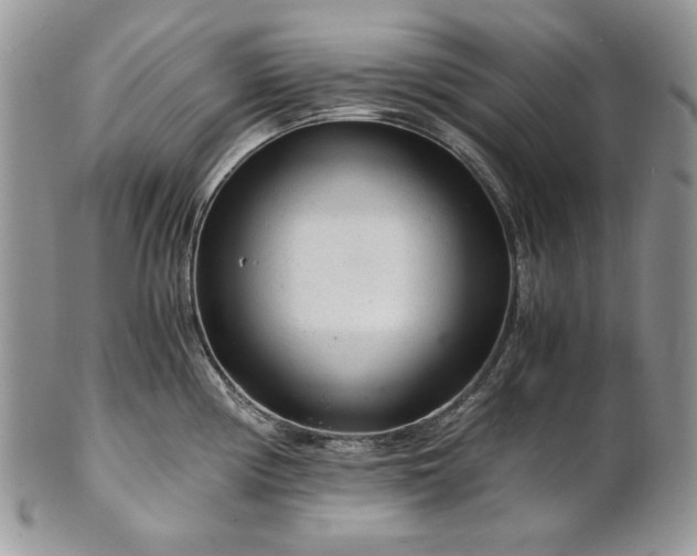 X0000101961194200808011101