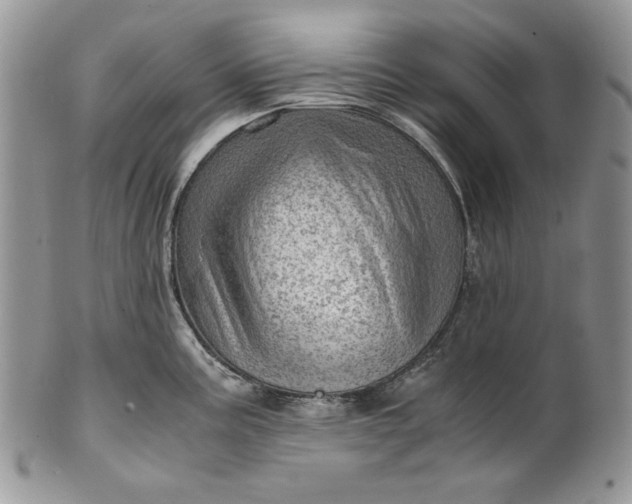 X0000101961195200808011101