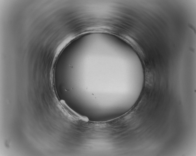 X0000101961196200808011101