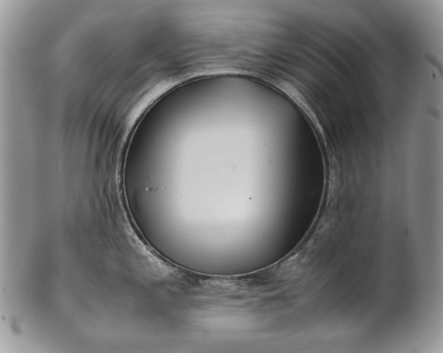 X0000101961197200808011101