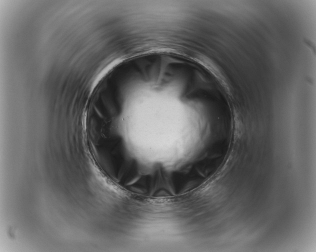 X0000101961198200808011101