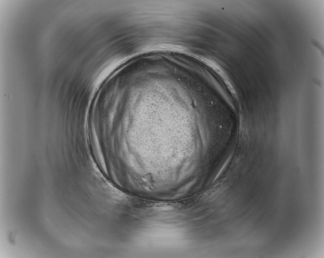 X0000101961199200808011101