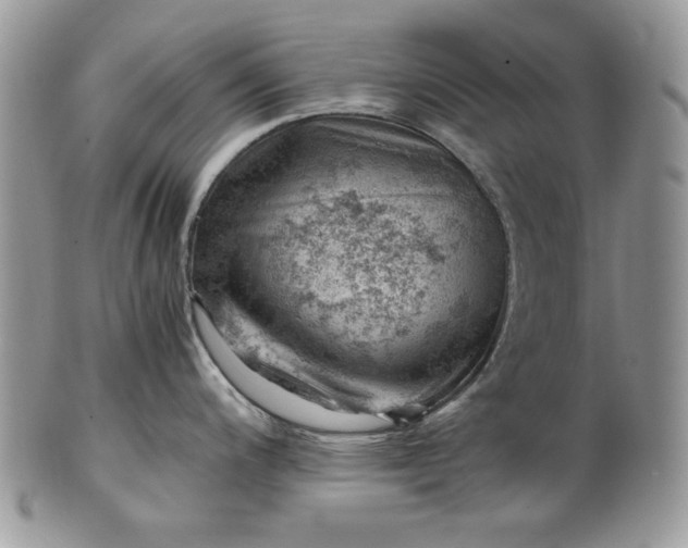 X0000101961200200808011101