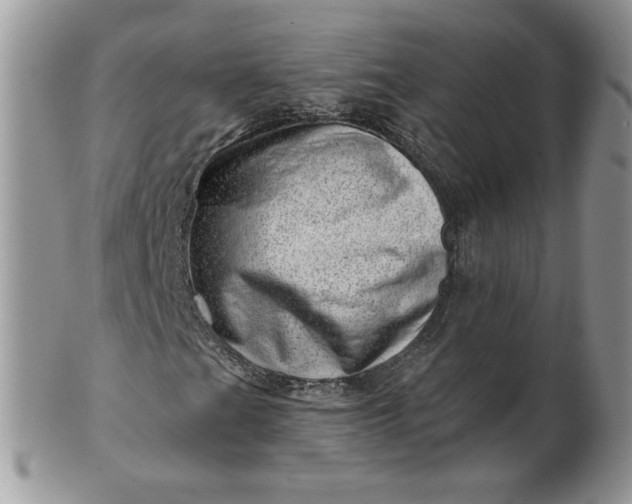 X0000101961201200808011100