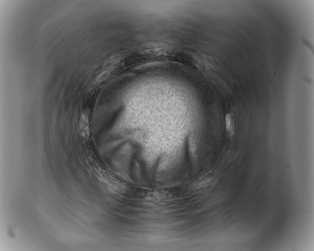 X0000101961203200808011100