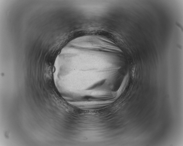 X0000101961204200808011100