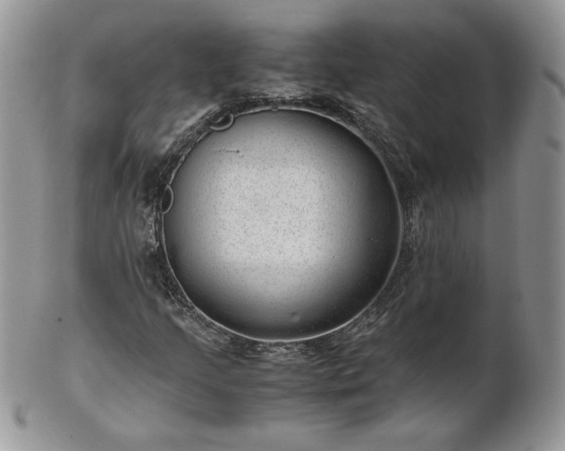 X0000101961205200808011100