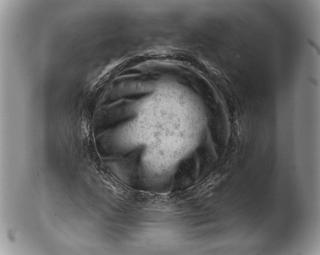 X0000101961206200808011100