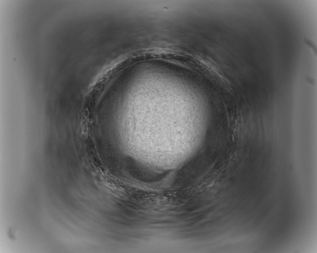 X0000101961207200808011100